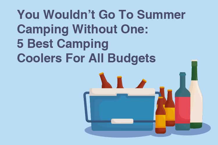 5 Best Camping Coolers for Food and Beverage Storage