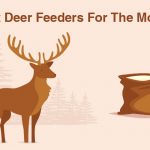 Best Deer Feeders