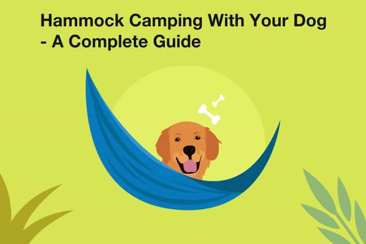 Hammock Camping With Dog