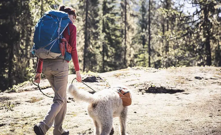 Woman Hiking With Dog