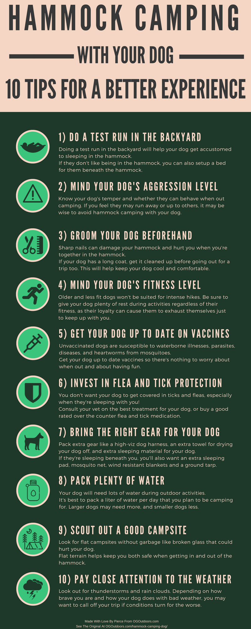 hammock-camping-with-dog-infographic