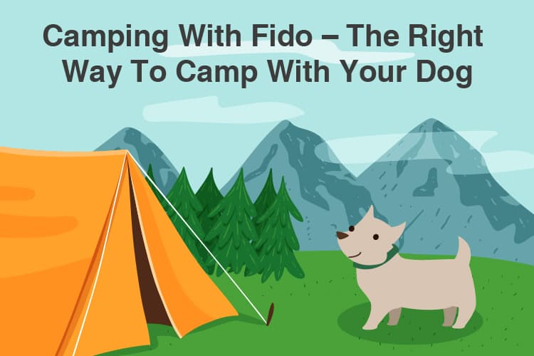 Camping With Fido – The Right Way To Camp With Your Dog 9