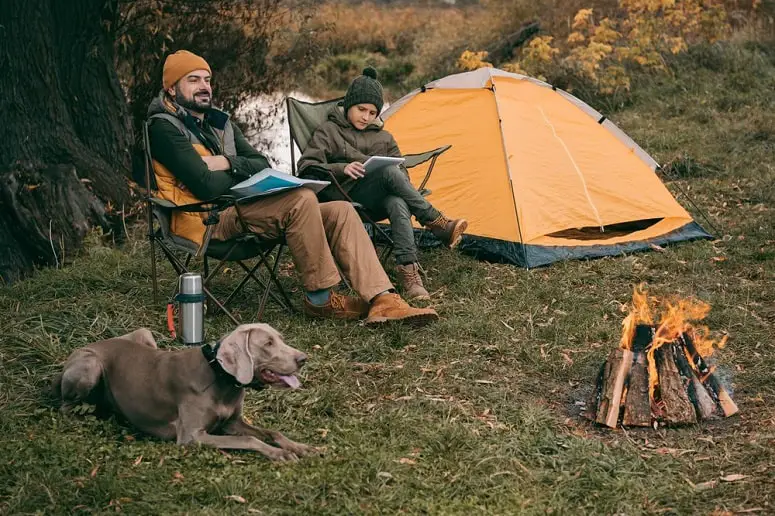 Couple Camping With Dog