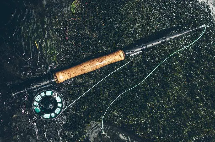 Best Fly Rod Under $200 Reviews - Find A High-Quality Rod For Less