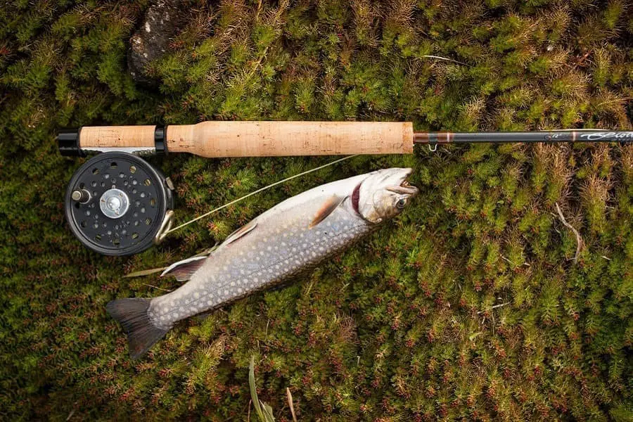 Best 3 Weight Fly Rods – For Slow Sinking