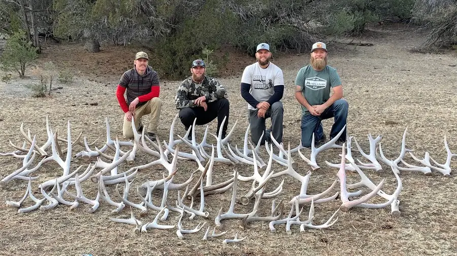 Deer Hunting Seasons