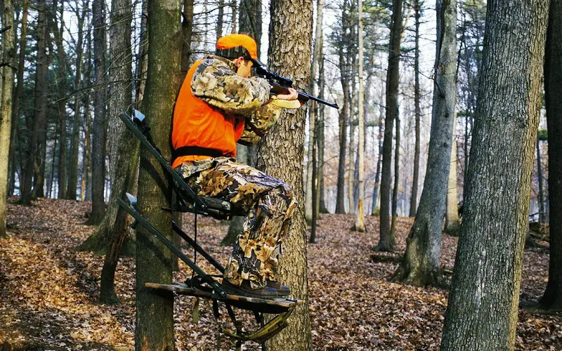 Tree stand deer hunting