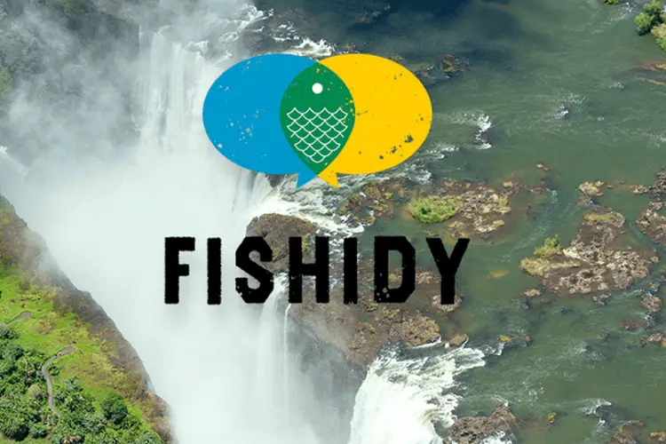 fishidy application
