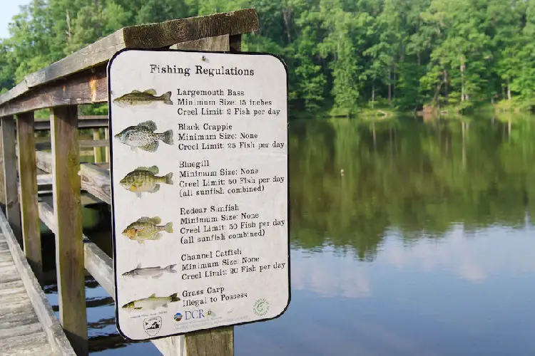 fish size regulations