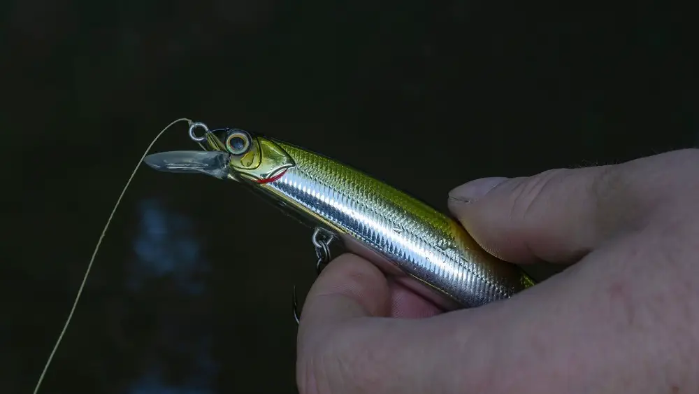 A man's hand holds a minnow wobbler with three hooks.