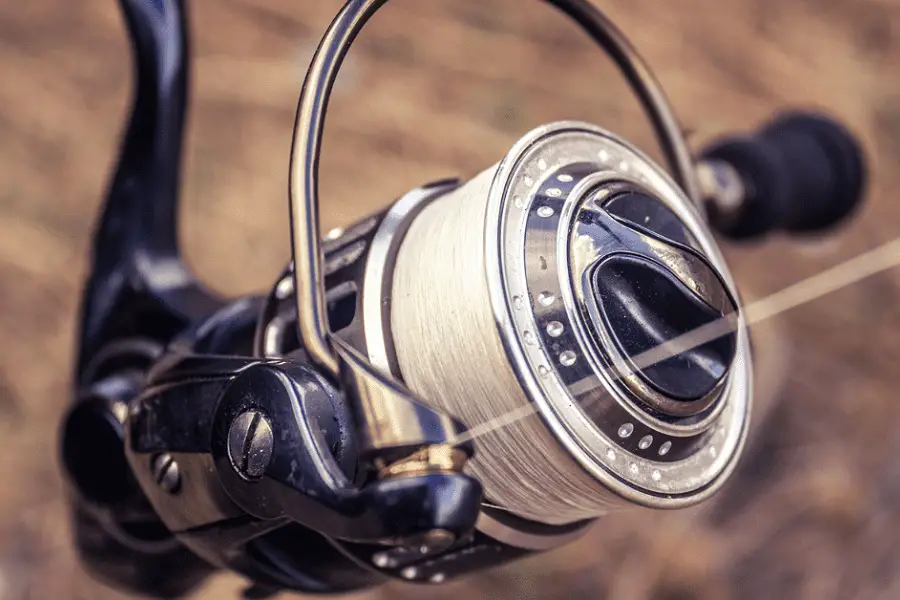 Spinning Reel Parts and What to Look for When Buying A Reel