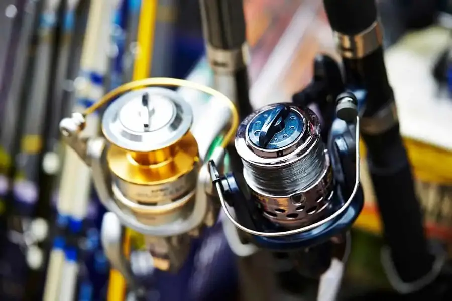 Spinning Reel Size - Choose The Best Reel Size For Your Purpose