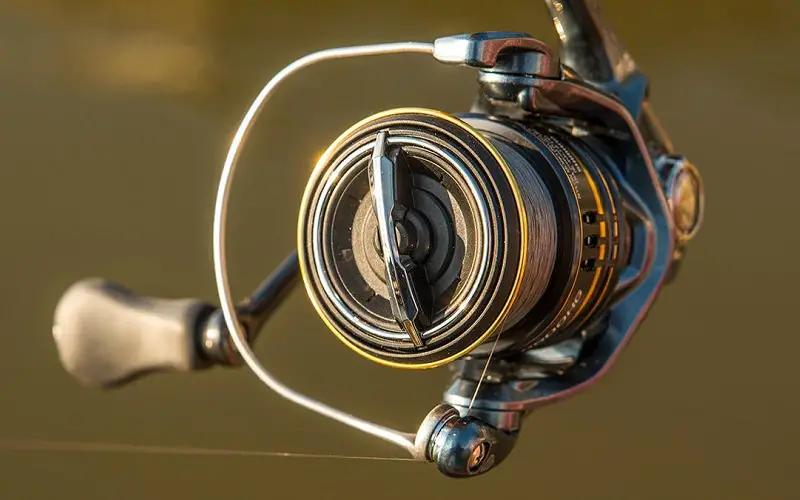 Sizes and purposes of spinning reels