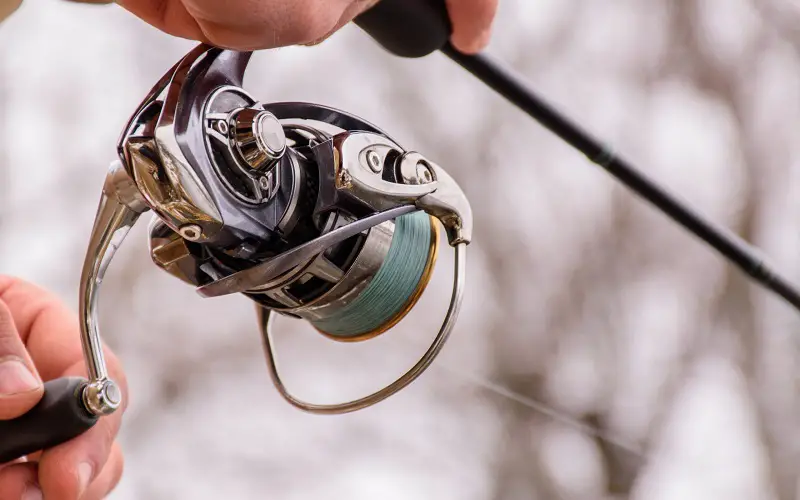 Most important parts of spinning reel