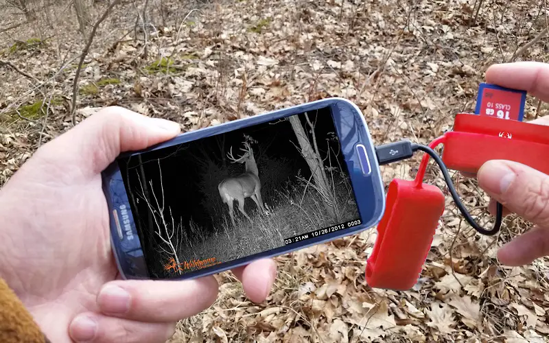 phone connected to trail cam