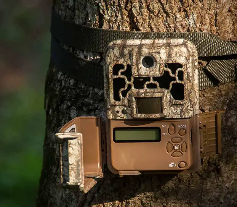 wireless trail cameras