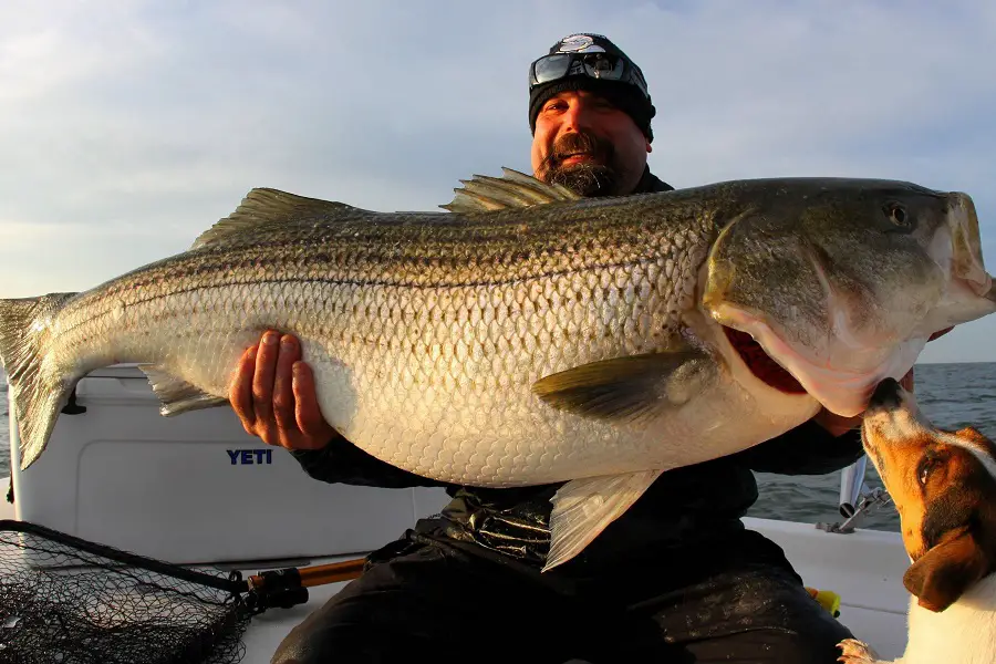 Uncovering the Story Behind the Biggest Bass Ever Caught