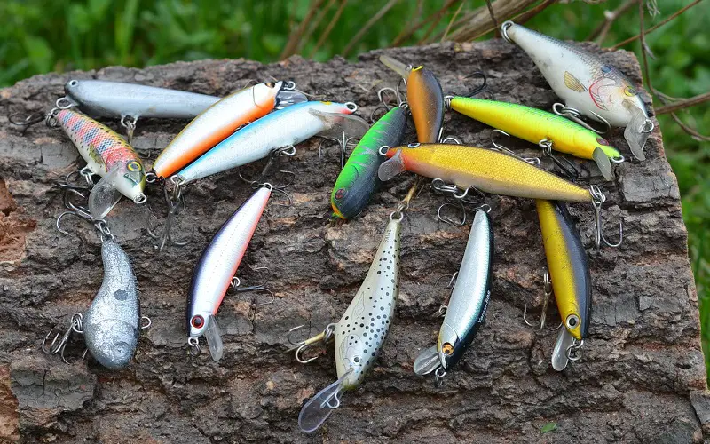 Jerkbaits shapes and colors