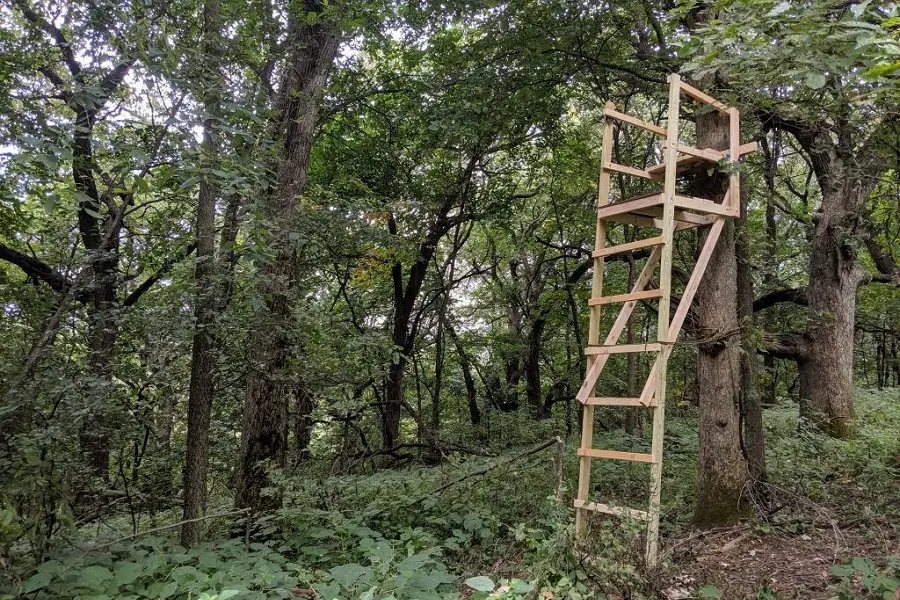 DIY Deer Stands for a Successful Hunt: Unlock Hunting Potential