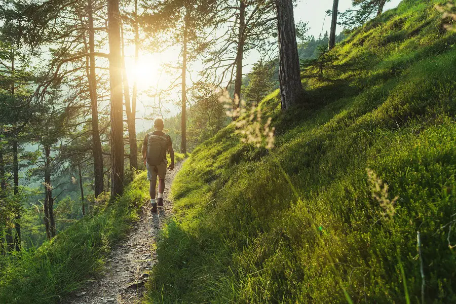 Hiking vs Walking: Which Is Better For Fitness?