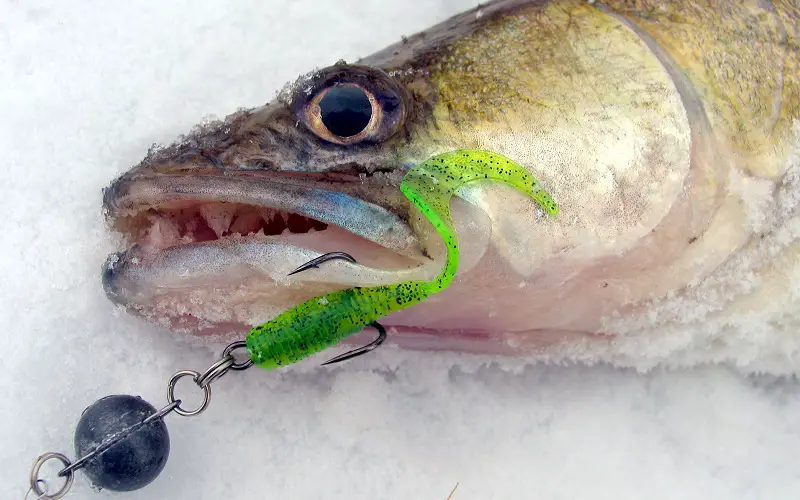 Different plastic imitations for ice fishing