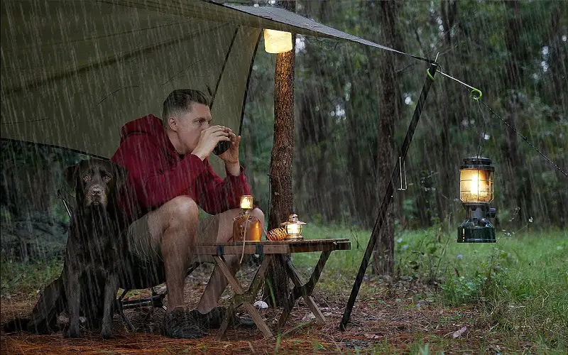 Man with dog camping while raining