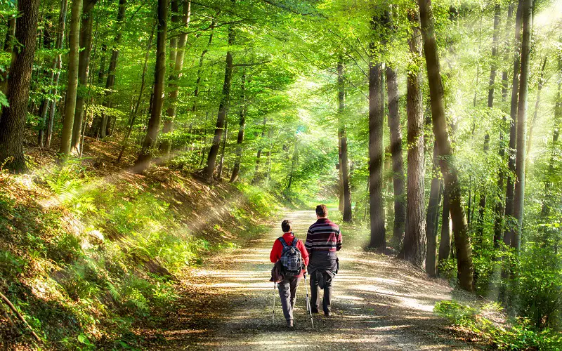 Young couple walkin trough forest
