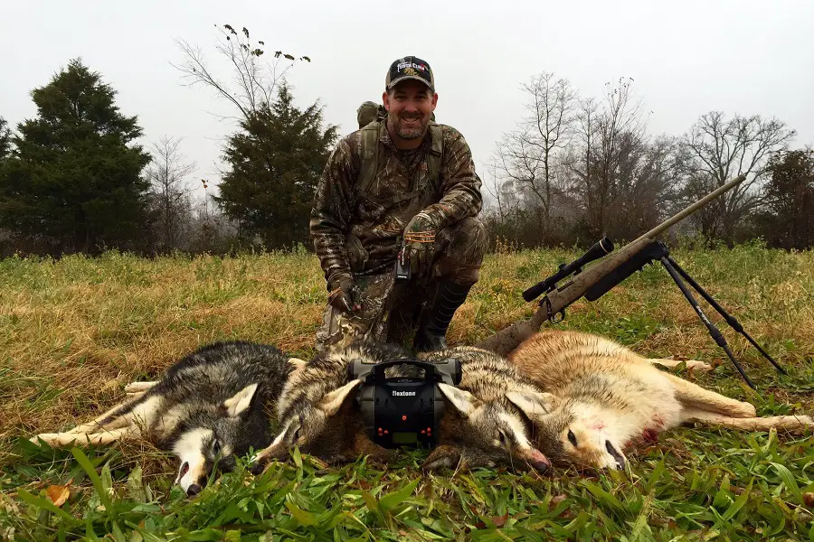 5 Reasons Why Coyotes Should Be Hunted